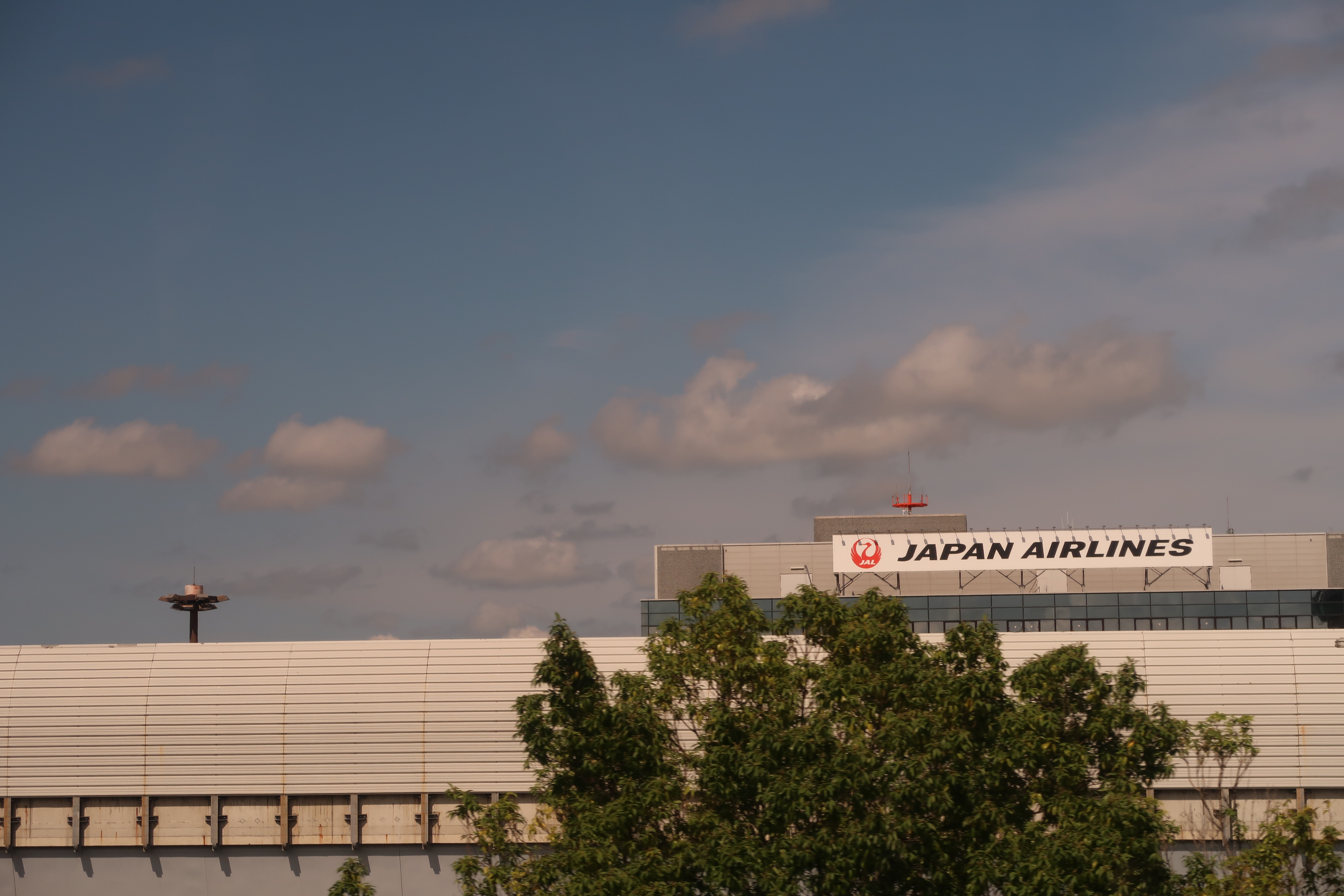 Japan Airlines terminal